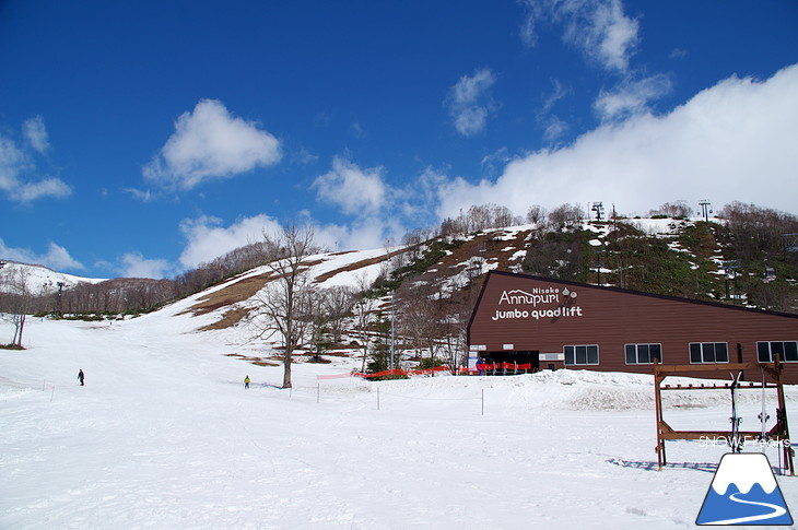 ニセコアンヌプリ国際スキー場 beautiful spring day!! | 北海道雪山